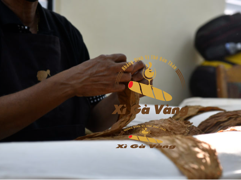 Hình ảnh người thợ cuốn thuốc